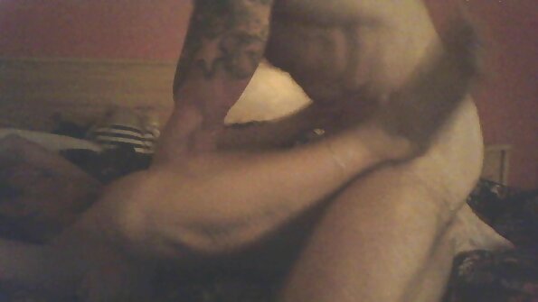 Tuore nasta Cougars Padin sisällä